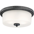 Westinghouse 6325140 - Stropna svjetiljka CEDRIC 2xE27/40W/230V Ø 33 cm