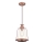 Westinghouse 63616 - Luster na sajli BRYNN 1xE27/60W/230V