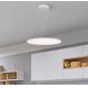 Westinghouse 65775 - LED Prigušivi luster na sajli ATLER LED/40W/230V 60 cm