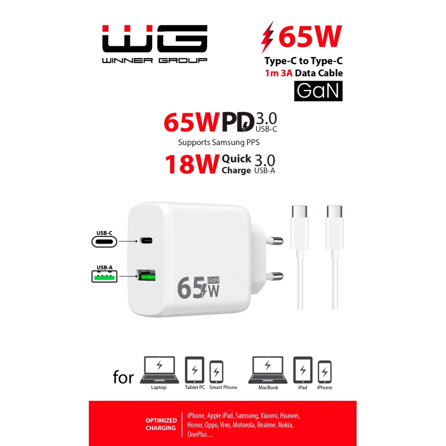 Winner Group - Adapter za brzo punjenje 2xUSB PD 65W + USB kabel USB-C / USB-C 1m