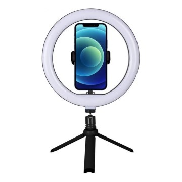 Winner Group - LED stolna lampa s prigušivanjem, stalkom i držačem za vloganje LED/10W/5V