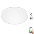 WiZ - LED RGB stropna svjetiljka s prigušivanjem SUPERSLIM LED/32W/230V 2700-6500K Wi-Fi bijela