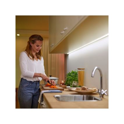 WiZ - LED RGBW Prigušiva traka za proširenje 1m LED/11W/12V 2700-6500K Wi-Fi