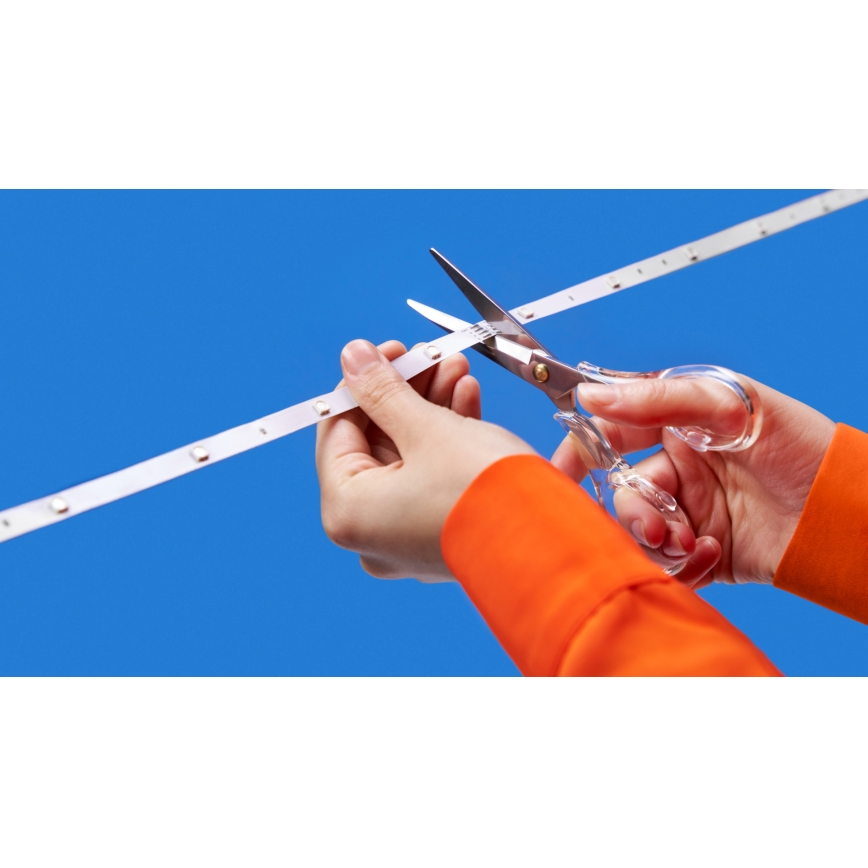 WiZ - LED RGBW traka s mogućnošću prigušenja 4m LED/6,5/230V 2700-6500K Wi-Fi