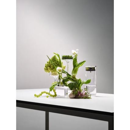 WMF - Karafa za vodu MOTION 800 ml