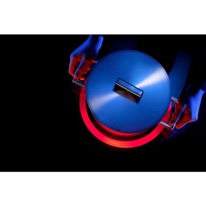 WMF - Lonac ULTIMATE COOL Ø 20 cm