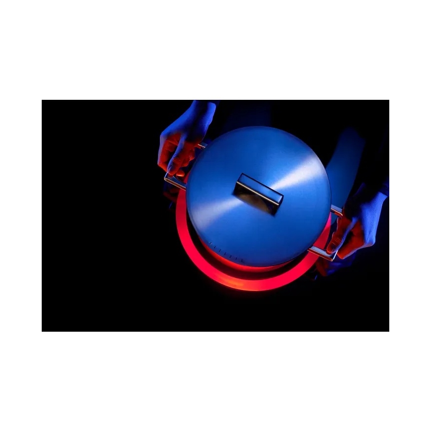 WMF - Lonac ULTIMATE COOL Ø 20 cm