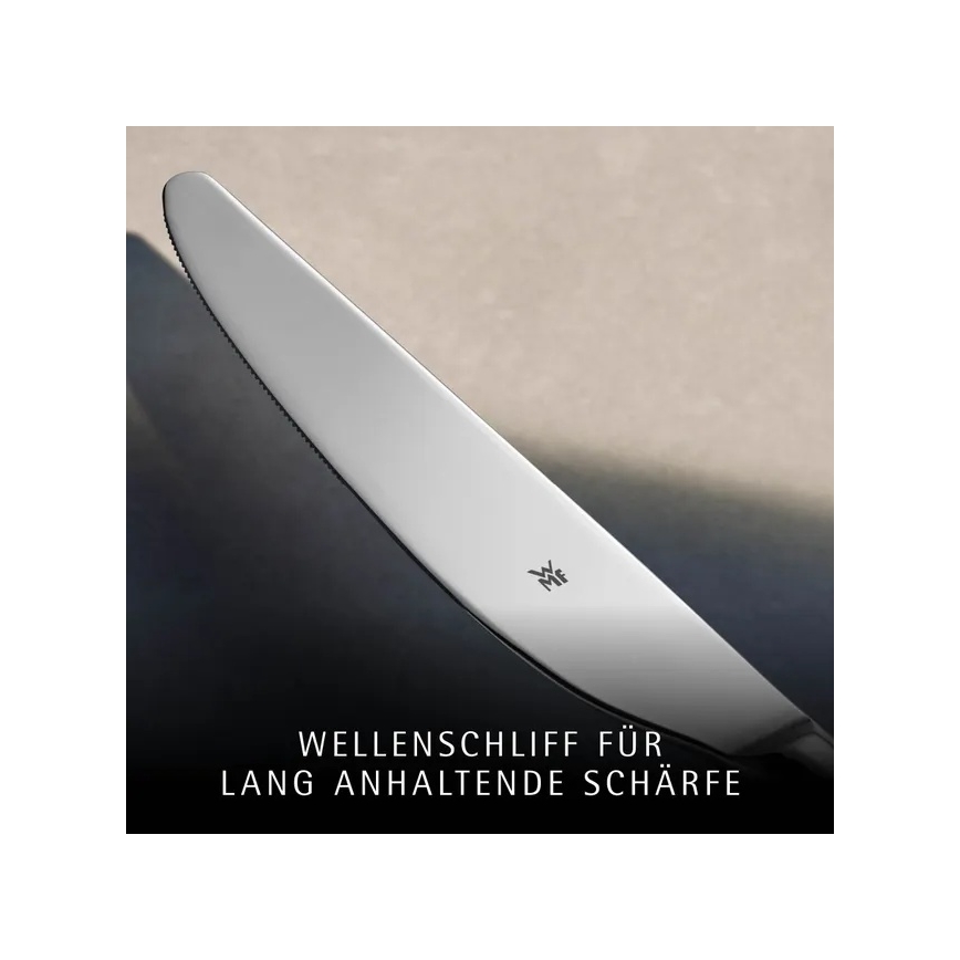 WMF - Set pribora za jelo od nehrđajućeg čelika PALMA 60 kom