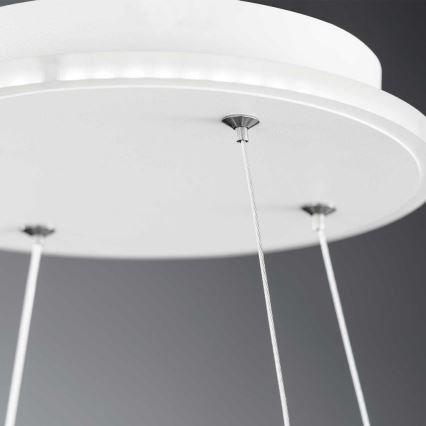 Wofi 11501FW - LED Prigušivi luster na sajli SHAY LED/39W/230V 3000K bijela