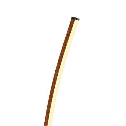 Wofi 3020-106 - LED dimabilna podna lampa BOLOGNA LED/21W/230V