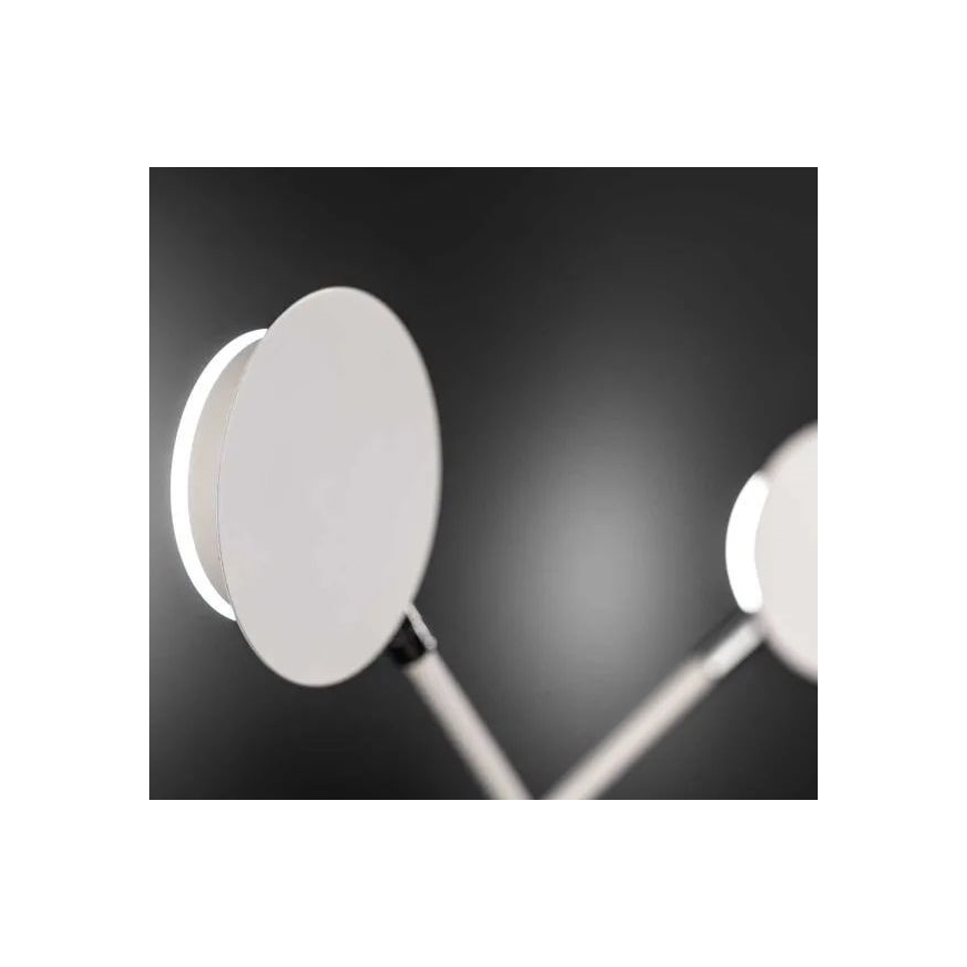 Wofi 446602069000 - LED Zidna svjetiljka BELIZE 2xLED/5W/230V 3000K bijela