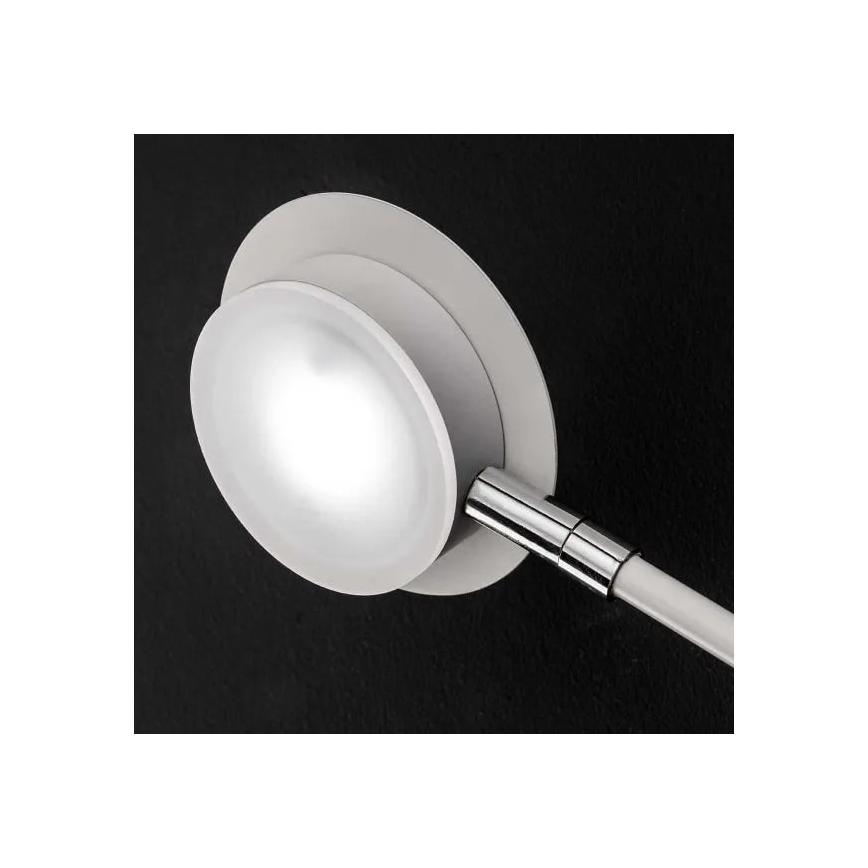 Wofi 446602069000 - LED Zidna svjetiljka BELIZE 2xLED/5W/230V 3000K bijela