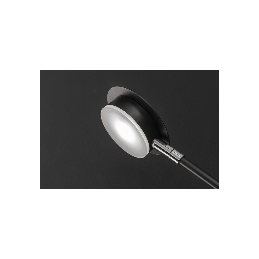 Wofi 446604109000 - LED Zidna svjetiljka BELIZE 4xLED/5W/230V 3000K crna
