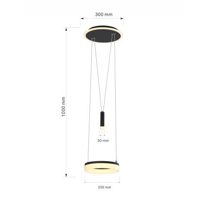 Wofi 6054-302 - LED Prigušivi luster na sajli JESSE LED/15,5W/230V crna