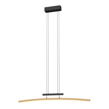 Wofi 7020-106 - LED prigušivačka luster na užetu BOLOGNA LED/27W/230V
