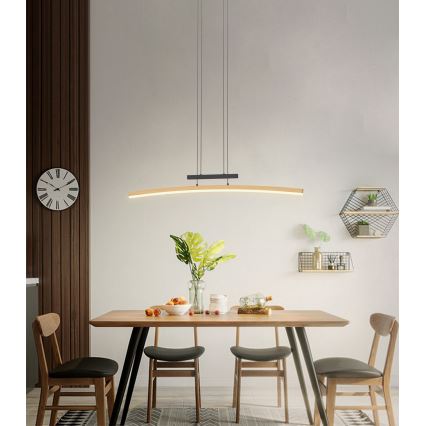 Wofi 7020-106 - LED prigušivačka luster na užetu BOLOGNA LED/27W/230V