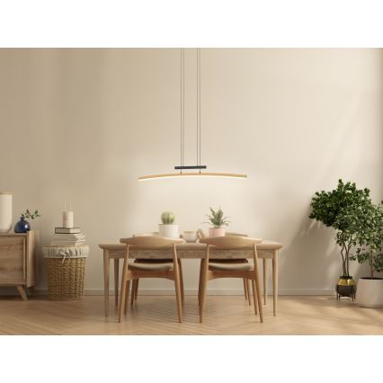 Wofi 7020-106 - LED prigušivačka luster na užetu BOLOGNA LED/27W/230V