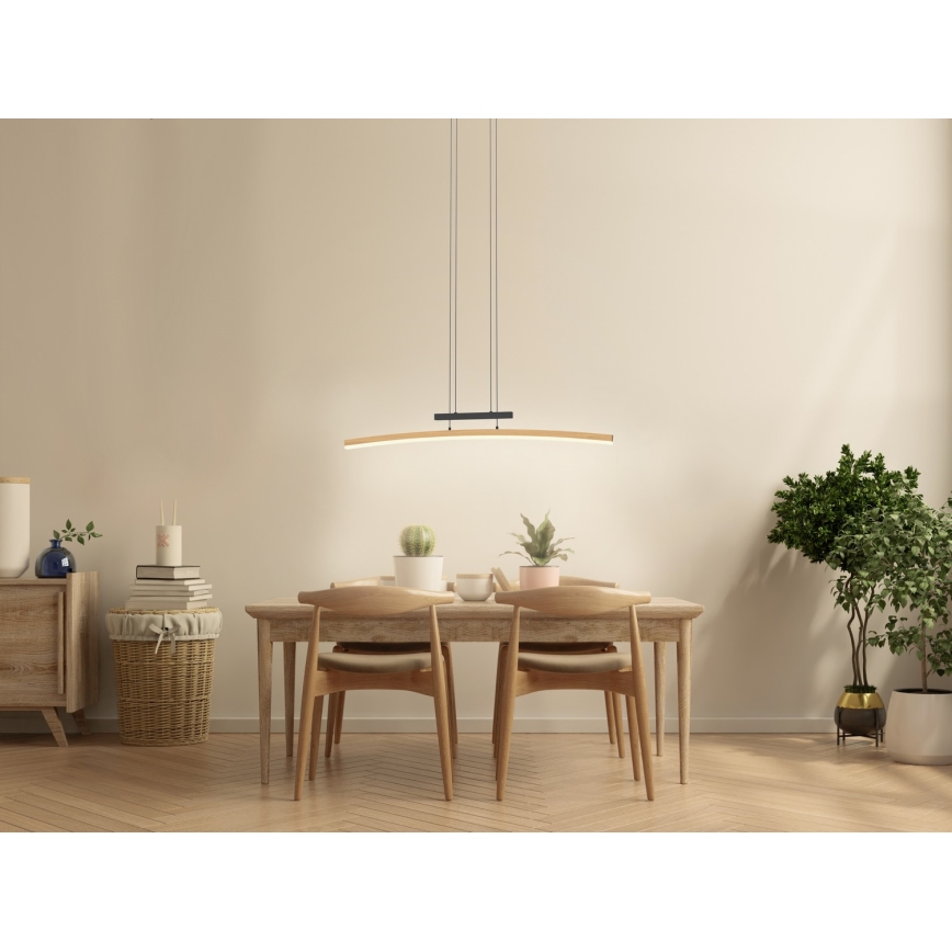 Wofi 7020-106 - LED prigušivačka luster na užetu BOLOGNA LED/27W/230V