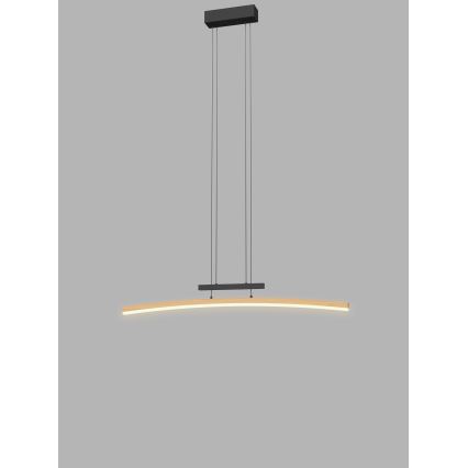 Wofi 7020-106 - LED prigušivačka luster na užetu BOLOGNA LED/27W/230V