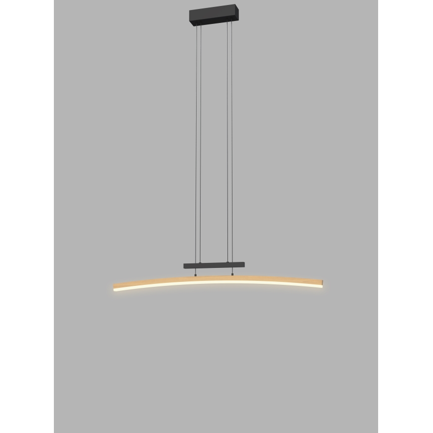 Wofi 7020-106 - LED prigušivačka luster na užetu BOLOGNA LED/27W/230V