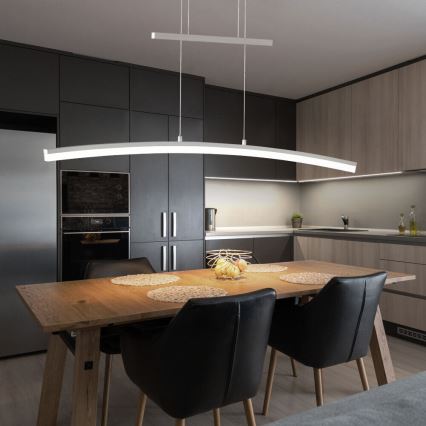 Wofi 7230.01.64.6000 - LED prigušivački luster na užetu FERROL LED/28W/230V