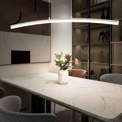 Wofi 7230.01.64.6000 - LED prigušivački luster na užetu FERROL LED/28W/230V