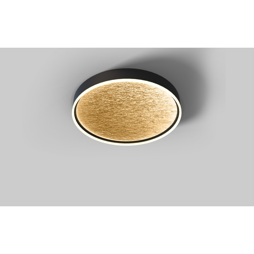 Wofi 9002-104L - LED stropna svjetiljka s prigušivanjem BORDEAUX LED/60W/230V crna/zlatna