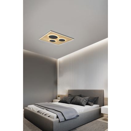 Wofi 9012-306L - LED Prigušiva stropna svjetiljka DIJON LED/40W/230V