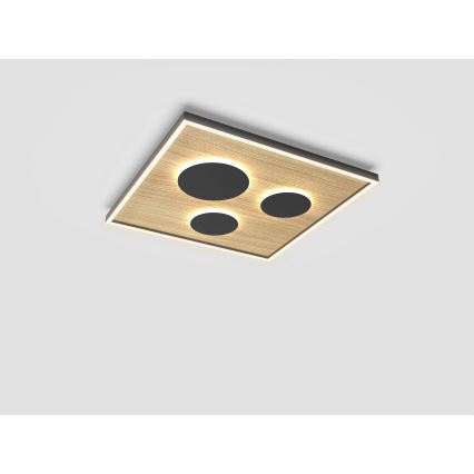 Wofi 9012-306L - LED Prigušiva stropna svjetiljka DIJON LED/40W/230V