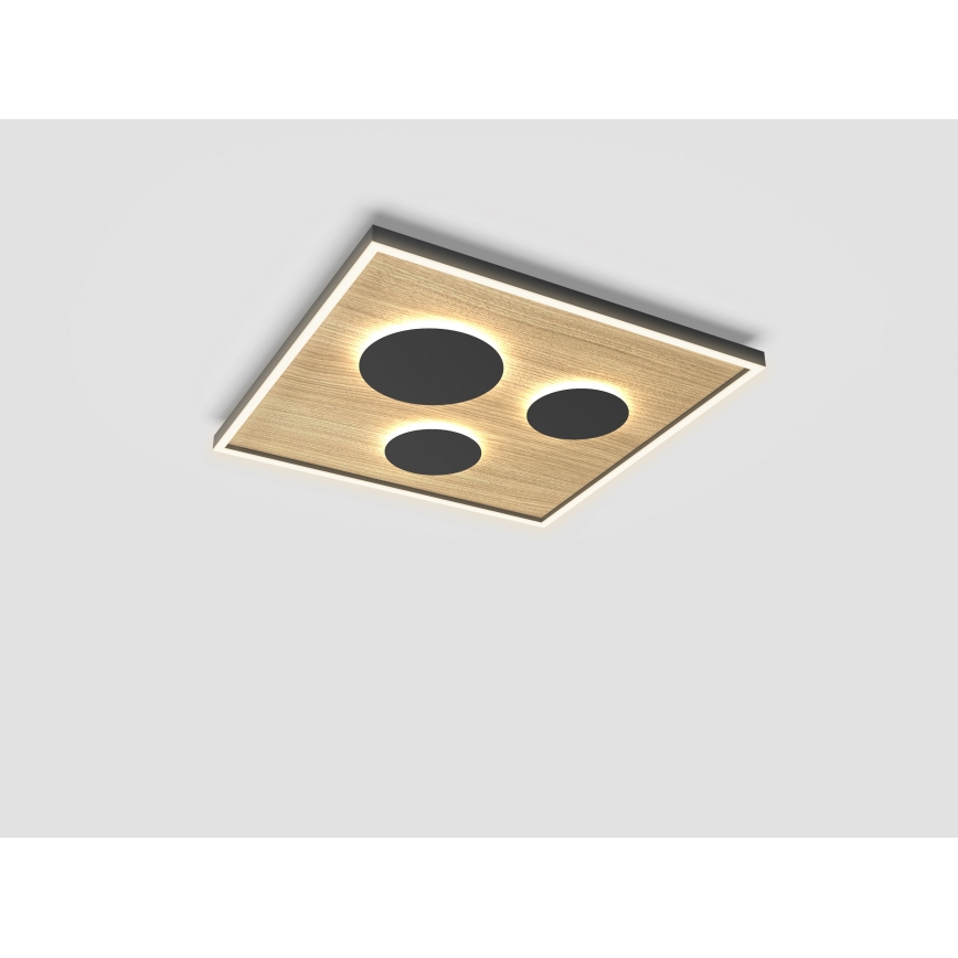 Wofi 9012-306L - LED Prigušiva stropna svjetiljka DIJON LED/40W/230V
