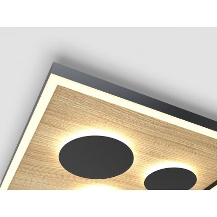 Wofi 9012-306S - LED stropna svjetiljka s mogućnošću prigušivanja DIJON LED/26W/230V