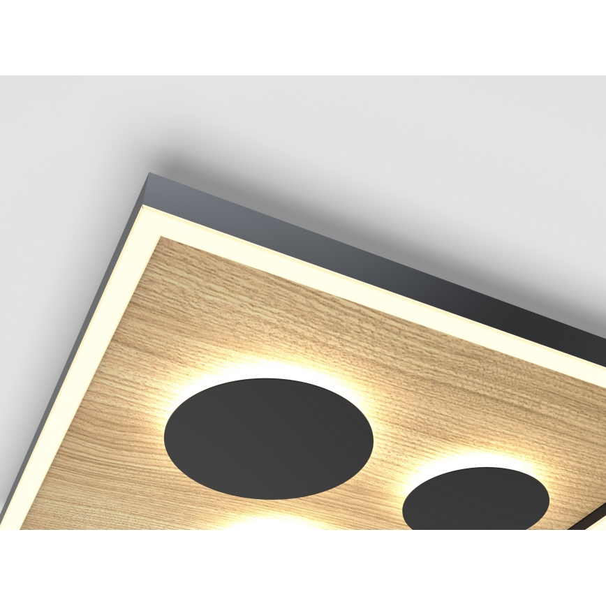 Wofi 9012-306S - LED stropna svjetiljka s mogućnošću prigušivanja DIJON LED/26W/230V