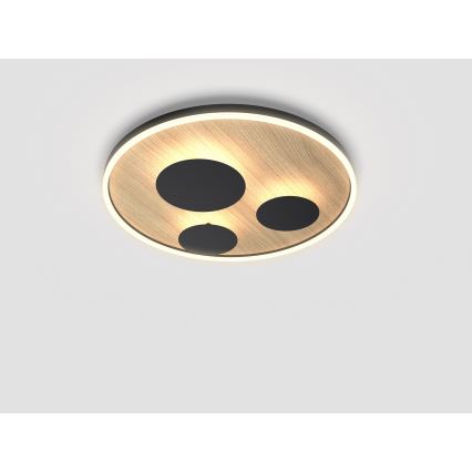 Wofi 9013-306L - LED stropna svjetiljka s prigušivanjem REIMS LED/40W/230V