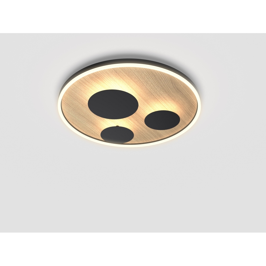 Wofi 9013-306L - LED stropna svjetiljka s prigušivanjem REIMS LED/40W/230V