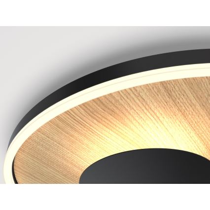 Wofi 9013-306L - LED stropna svjetiljka s prigušivanjem REIMS LED/40W/230V