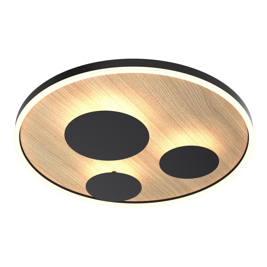 Wofi 9013-306L - LED stropna svjetiljka s prigušivanjem REIMS LED/40W/230V