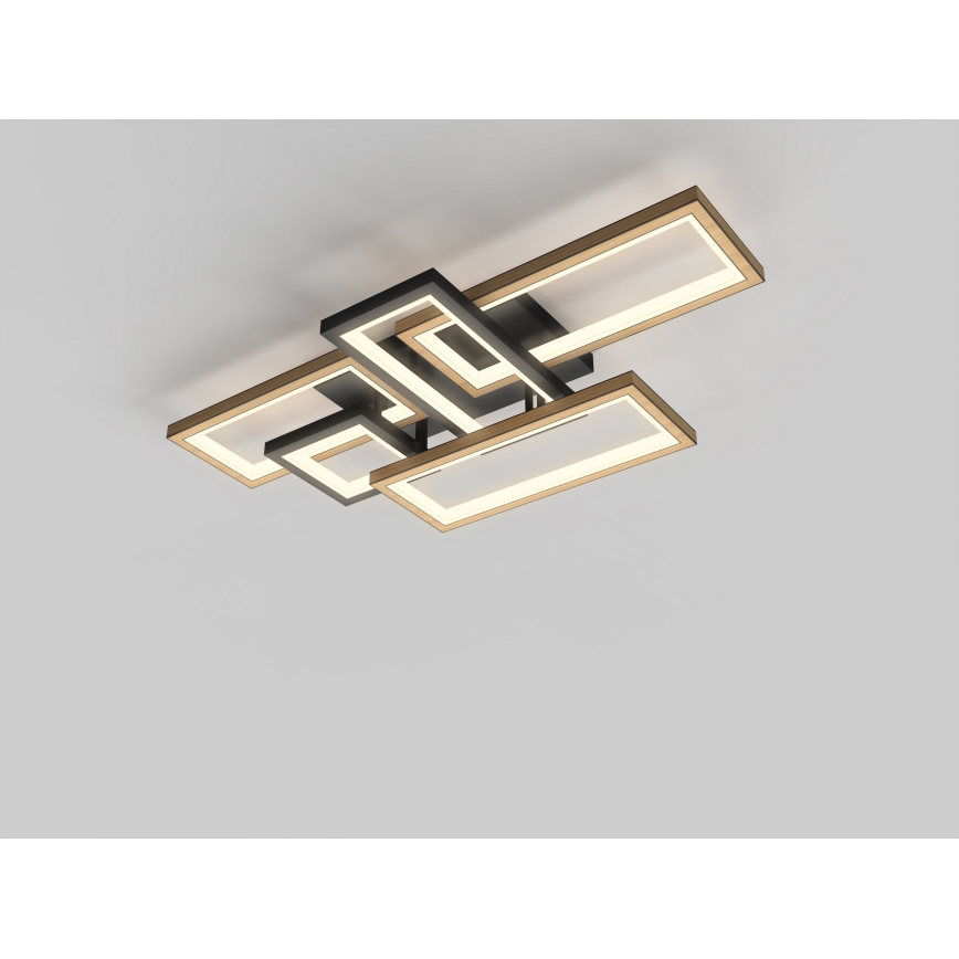 Wofi 9022-506 - LED prigušivo stropno svjetlo MATERA LED/60W/230V