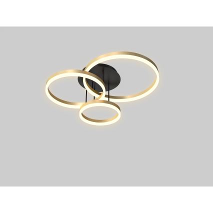 Wofi 9049-401 - LED stropna lampa s prigušivanjem PERPIGNAN LED/51W/230V zlatna