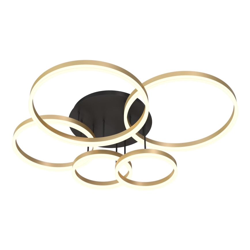 Wofi 9049-601 - LED stropna lampa s prigušivanjem PERPIGNAN LED/80W/230V zlatna