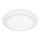 Wofi 9246.01.06.6410 - LED Prigušiva stropna svjetiljka VELDEN LED/18W/230V
