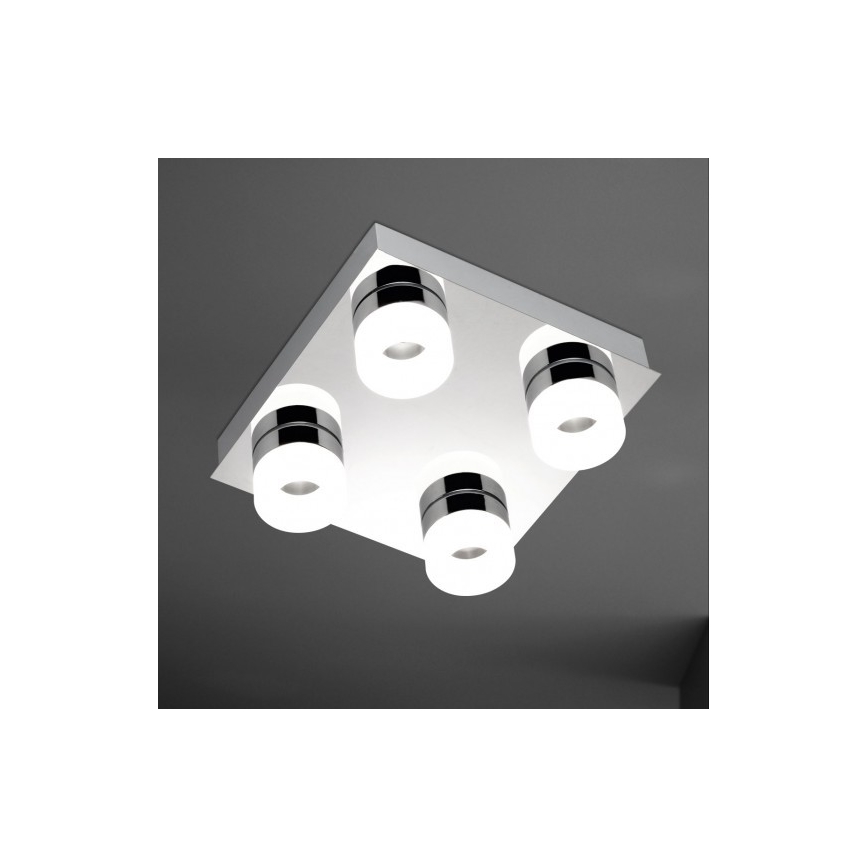 Wofi 9502.04.01.0044 - LED Stropna svjetiljka LUCE 4xLED/3,6W/230V