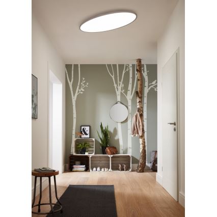 Wofi 9970.01.06.8100 - LED stropna svjetiljka za prigušivanje VALLEY 1xLED/45W/230V