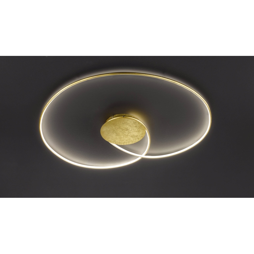 Wofi - LED Stropna svjetiljka OPUS LED/32W/230V