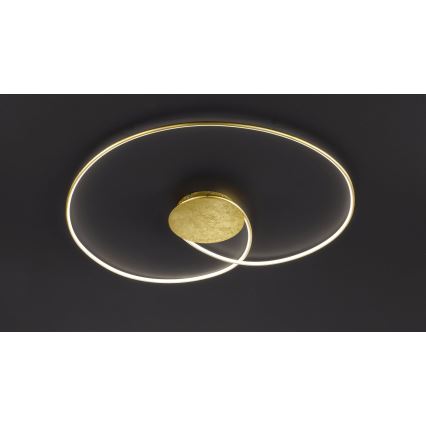 Wofi - LED Stropna svjetiljka OPUS LED/32W/230V