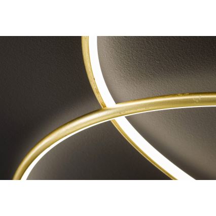 Wofi - LED Stropna svjetiljka OPUS LED/32W/230V