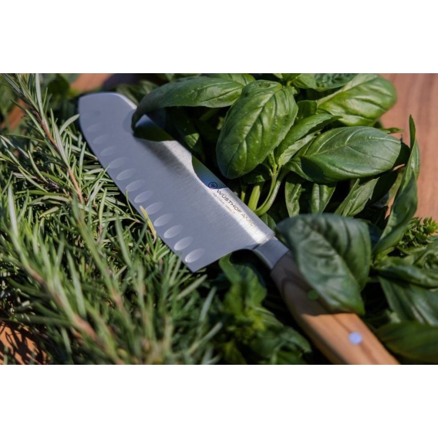 Wüsthof - Kuhinjski nož santoku AMICI 17 cm maslinovo drvo