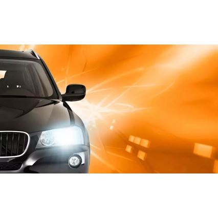 Xenon auto žarulja Philips XENON VISION D1S PK32d-2/35W/85V 4300K