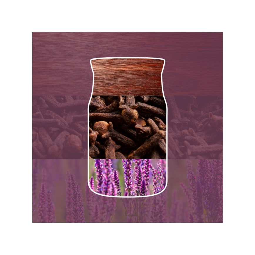 Yankee Candle - Mirisna svijeća AUTUMN DAYDREAM velika 567g 60-90 sati