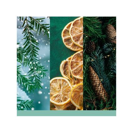 Yankee Candle - Mirisna svijeća HOLIDAY WINTERFEST velika 567 g 60-90 sati