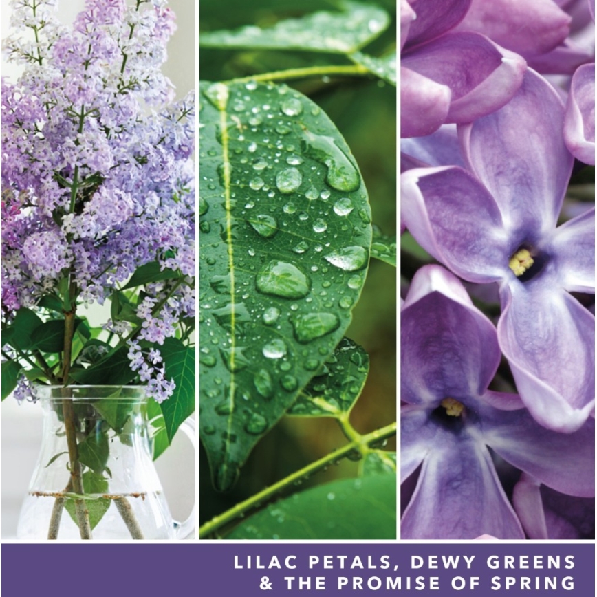 Yankee Candle - Mirisna svijeća LILAC BLOSSOMS velika 567g 60-90 sati